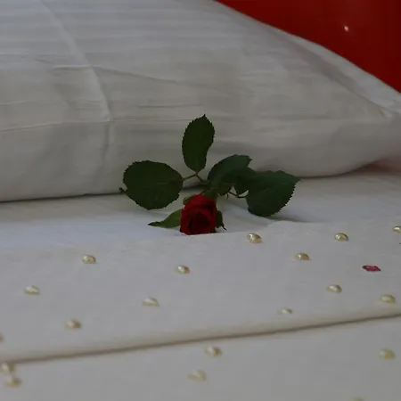 Hotel The Boutique *